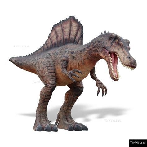 Hunting Spinosaurus - The 4 Kids