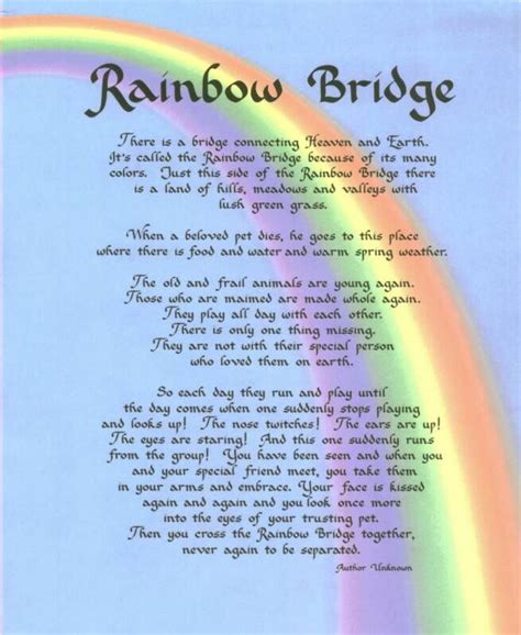 Rainbow Bridge Printable Poem For Dogs