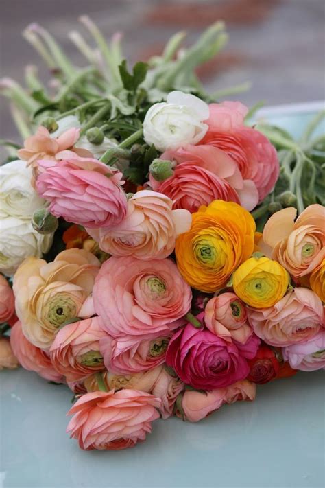 Bouquet of colorful buttercups to bring the weather - onwiththeshow | Pretty flowers, Flower ...