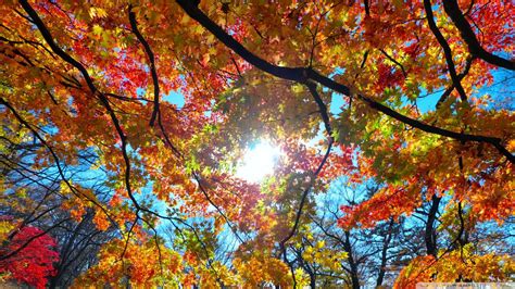 Autumn Sunshine Wallpapers - Wallpaper Cave