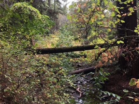 4 Unique and Scenic Trails Perfect for Napa Valley Hiking