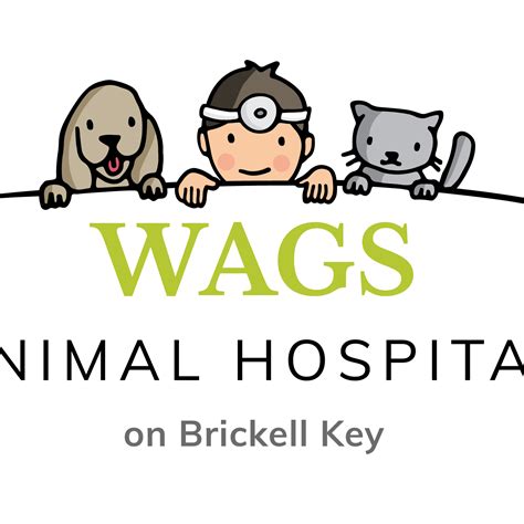 Wags Animal Hospital | Miami FL