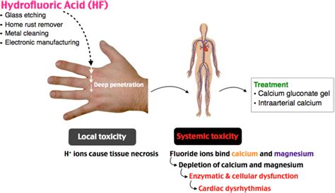 Rosh Review | Body disorders, Emergency medicine, Medicine