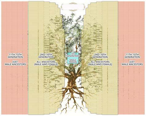 15 Generation Family Tree. Large Family Tree for 15 Ancestor - Etsy