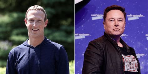 6 things to know about Elon Musk vs Mark Zuckerberg's cage fight