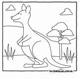 Outback Australian Animals Coloring Pages sketch template