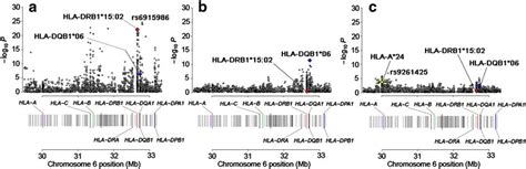 Regional associations of human leukocyte antigen (HLA) variants in ...