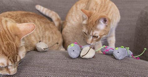 SmartyKat Catnip Cat Toys 3-Pack Only $1.75 on Amazon (Regularly $4)