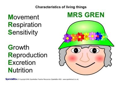 462. CLIL SCIENCE: PLEASE TO MEET YOU MRS GREN (with audio file!)! | FUN WITH ENGLISH! BY ...