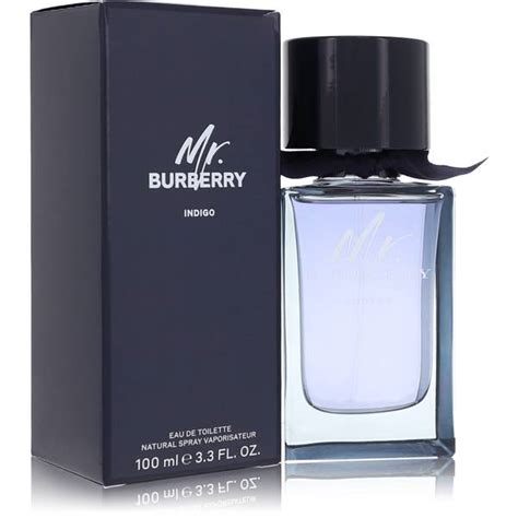 Mr Burberry Indigo Cologne by Burberry | FragranceX.com