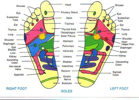 Astrology for a better NOW: Holy Feet