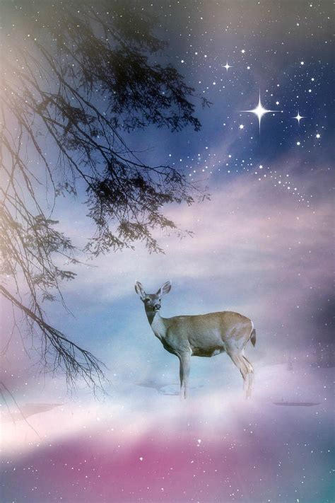 Beautiful Deer and Snow Christmas Holiday Photograph by Stephanie Laird ...