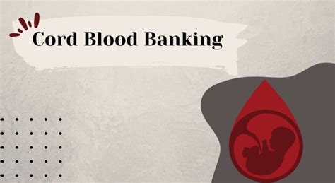 Cord Blood Banking: Pros, Cons and Costs Debunked