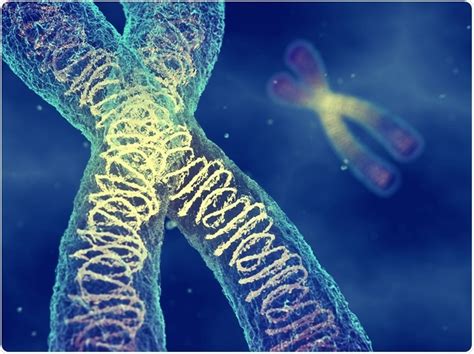 Mechanisms of DNA Repair