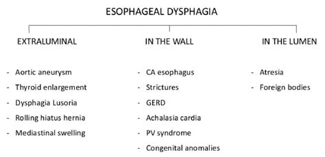 Causes Of Dysphagia