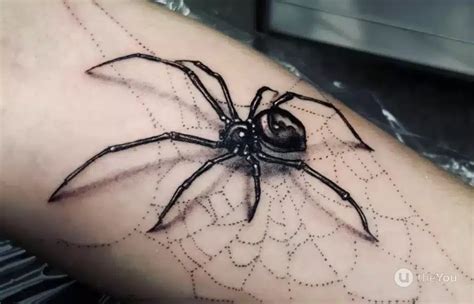 Spider Tattoo - Tattoo Design