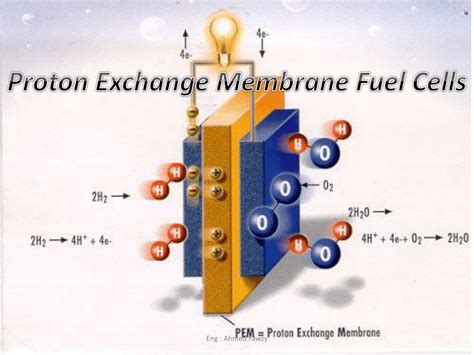 (PDF) The properties and applications of proton exchange membrane and bi-polar plates of proton ...