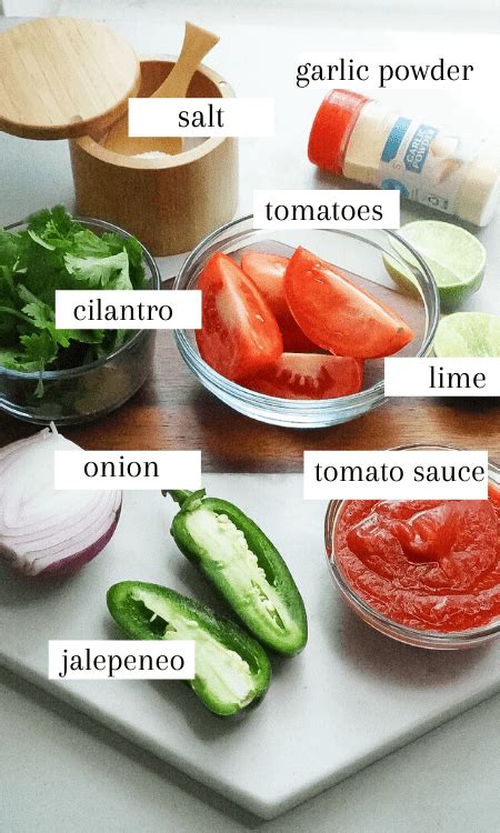 Easy Mexican Salsa (made in a food processor!) - Posh Plate