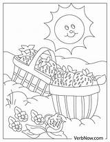 Free FRUIT Coloring Pages & Book For Download Printable PDF  VerbNow sketch template