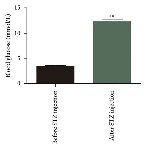 Construction of the rat DPN model: (a) the blood glucose in rats before... | Download Scientific ...