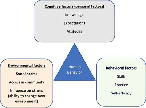 Bandura’s Social Cognitive Theory [adapted from the lead author’s PhD ...