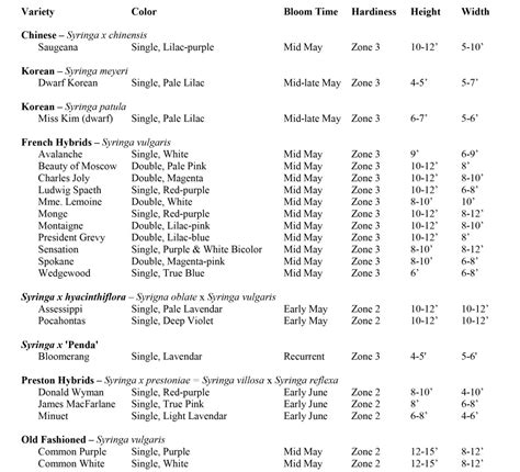 Lilac Varieties - Cashman Nursery