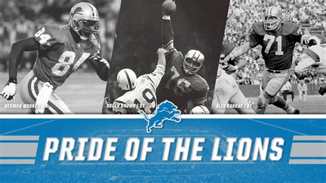 Lions to add three Legends to Pride of the Lions