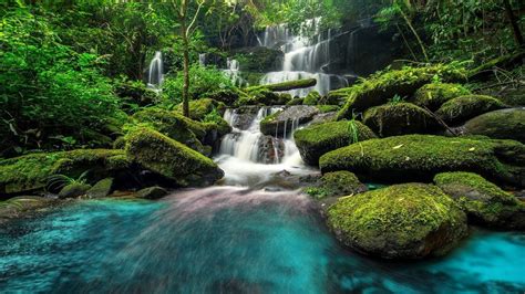 Relaxing Piano Music: Sleep Music, Water Sounds, Meditation Music, Relax... | Waterfall, Jungle ...