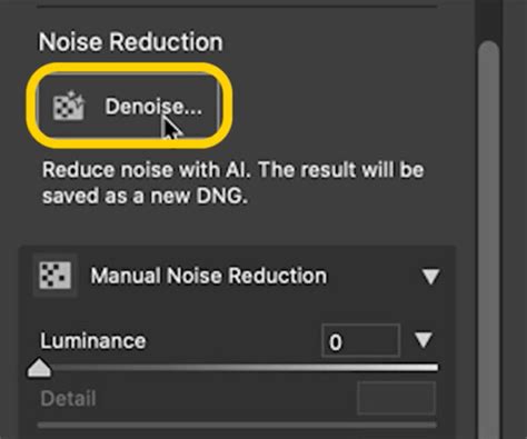 How to use Adobe Denoise AI In Lightroom and Camera Raw - PhotoshopCAFE