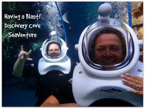 Discovery Cove Sea World - Food Fun & Faraway Places