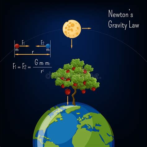 Newton Apple Tree Discover Gravity Posters Stock Illustration ...