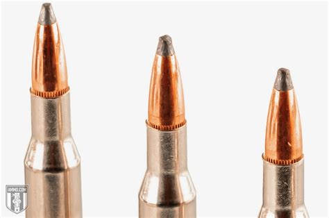 .270 vs .308 Win - A Hunter's Caliber Comparison by Ammo.com