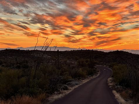 Tucson Sunset : r/arizona