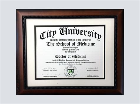 Medical Doctor Diploma