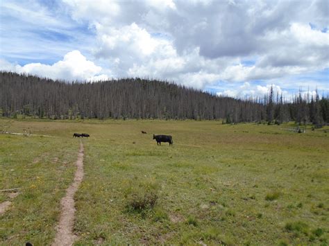 Deep Creek Trail | Top Horse Trails