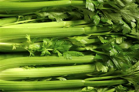 Celery - O‘ahu Fresh