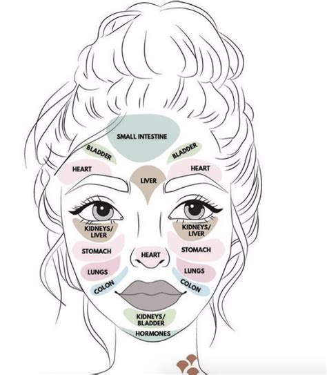 Face Map for Acne | Face mapping, Face chart, Face roller