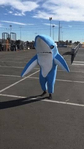 Left Shark GIFs - Get the best GIF on GIPHY