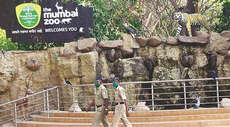 Mumbai News: Battery-operated Vehicles Inside Byculla Zoo From Next Month