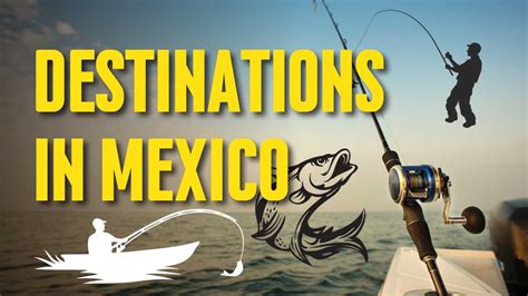 Best Bass Fishing in Mexico: A Guide to Epic Angling Adventures - Bass Fishing