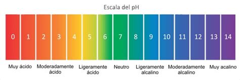 pH - Concepto, escala de medidas, cómo se mide y ejemplos