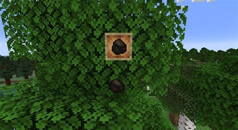 How to Make Charcoal in Minecraft - Easy Guide (2023)