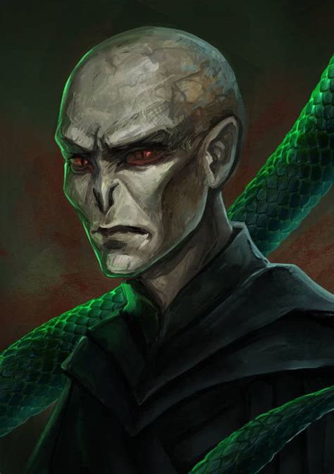 Lord Voldemort by Evivan on DeviantArt | Lord voldemort, Lord voldemort ...