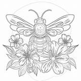 Free Printable Honey Bee Coloring Pages  Mimi Panda sketch template