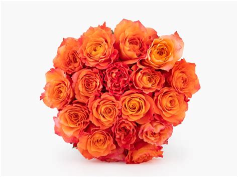 Roses Delivery | Send Roses With Our Flower Delivery Service