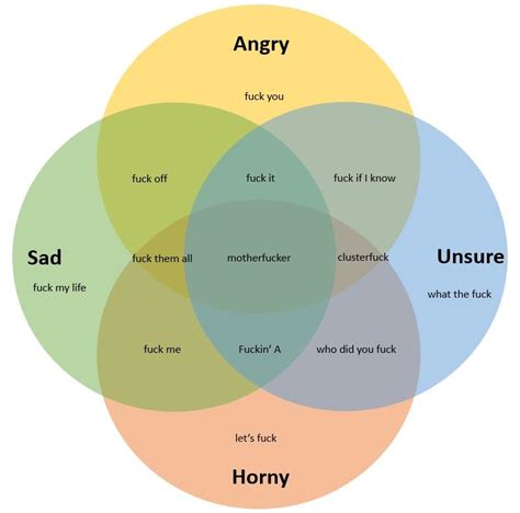 A fucking Venn diagram : r/funny