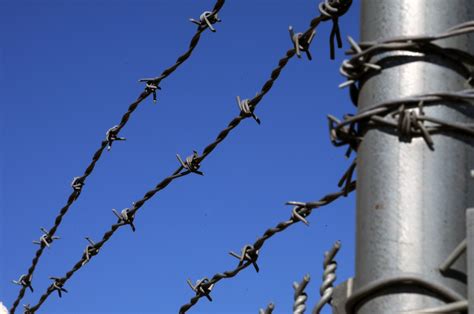 Barbed Wire Fence Free Stock Photo - Public Domain Pictures