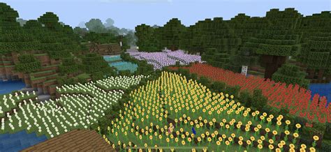 Flower garden on my friends server. : r/Minecraft