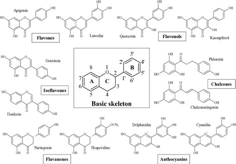 Subgroups of flavonoids: flavones, flavonols, flavanones, flavanonols ...