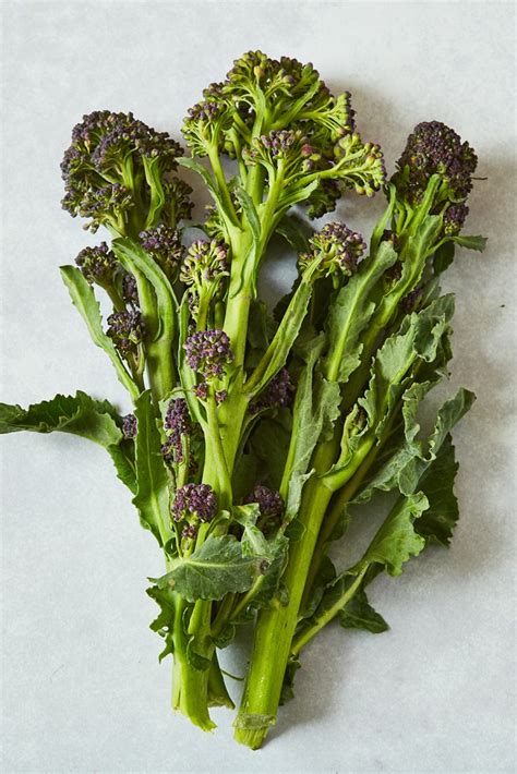 Purple Sprouting Broccoli Recipes - Great British Chefs